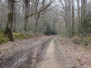 BEAULIEU-SUR-LAYON (2)-maine-et-loire