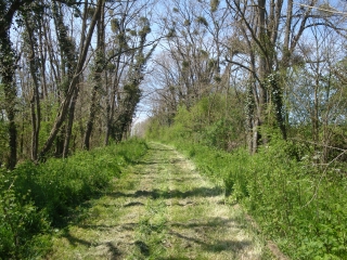 DOUE-LA-FONTAINE-maine-et-loire