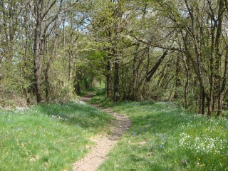 SAINT-LAMBERT-LA-POTHERIE-maine-et-loire
