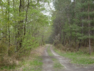 CHEMELLIER ET GREZILLE-maine-et-loire
