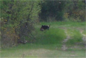 CHEMELLIER ET GREZILLE-maine-et-loire