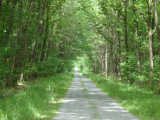 LOURESSE ROCHEMENIER-maine-et-loire