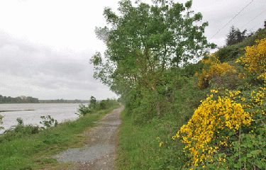 BOUCHEMAINE-maine-et-loire