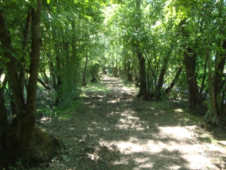 BRIOLLAY-maine-et-loire