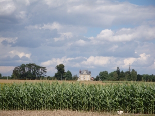 GENNES - ETANG DE JOREAU-maine-et-loire