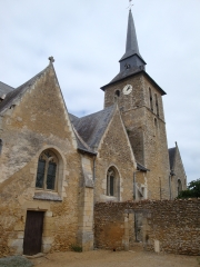 FORET DE CHAMBIERS (2)-maine-et-loire