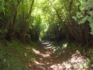 BRIOLLAY (2)-maine-et-loire