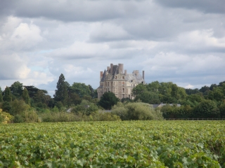 BRISSAC - CIRCUIT DE LA FORET-maine-et-loire