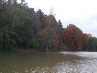 ANGERS - ETANG ST NICOLAS-maine-et-loire