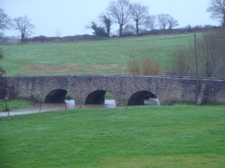 JALLAIS - ETANG DU BOIS HAM-maine-et-loire