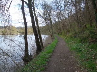 MONTREUIL-JUIGNE - BORD DE LA MAYENNE-maine-et-loire