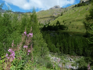TOUR DE PLANURE-hautes-alpes
