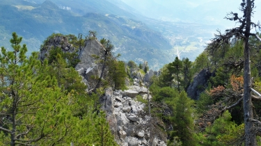 FREISSINIERES - CRETE DE LA RORTIE-hautes-alpes