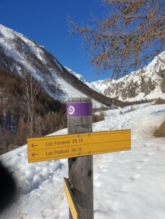 DORMILLOUSE - CABANE DE PALLUEL EN RAQUETTES A NEIGE-hautes-alpes