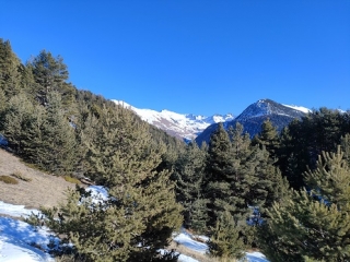 CEILLAC - AIGUILTETTES-hautes-alpes