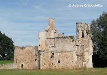 marais-du-cotentin-et-du-bessin - REMILLY-LES-MARAIS - AU FIL DES MARAIS