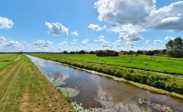 marais-du-cotentin-et-du-bessin - GRAIGNES-MESNIL-ANGOT - GRANDS PRéS ET PETIT CLOS