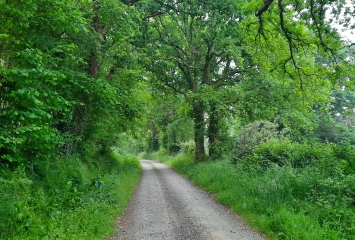 ST-MICHEL-DES-LOUPS - LA TOURBIèRE DES CENTS VERGéES-manche