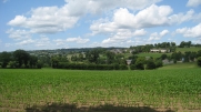 CAMPAGNE NORMANDE-manche
