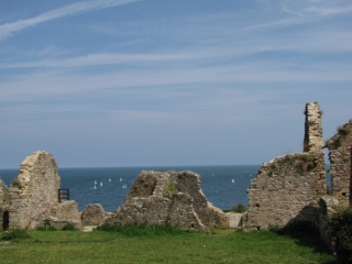 OMONVILLE-LA-ROGUE-manche