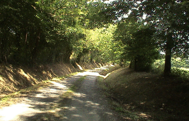 HERENGUERVILLE-manche