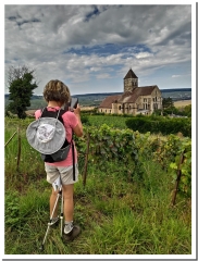 LA MONTAGNE D AVIZE-marne
