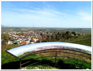 LA MONTAGNE D AVIZE-marne