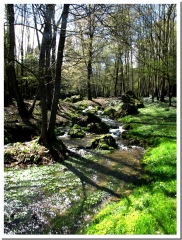 LE PARC DU SORDON ET LA VALLEE DU CUBRY-marne