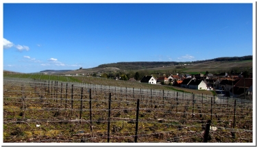 LE PARC DU SORDON ET LA VALLEE DU CUBRY-marne
