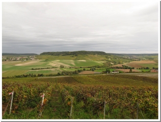 LE JARDIN DE L HORS DU RU-marne