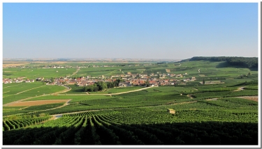 LES PATIS D OGER-marne