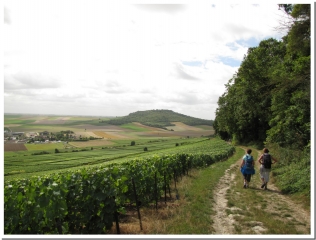 BERGERE-LES-VERTUS ET LE MONT-AIME-marne