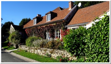 LE SURMELIN A MAREUIL-EN-BRIE-marne