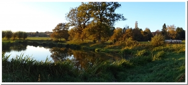 LE SURMELIN A MAREUIL-EN-BRIE-marne