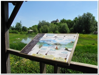 LE JARDIN HUMIDE DE CHOUILLY ET  LA BUTTE DE SARAN-marne