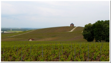 LE JARDIN HUMIDE DE CHOUILLY ET  LA BUTTE DE SARAN-marne