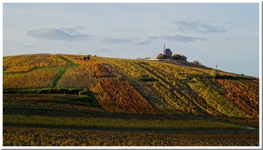 LA BALADE BOUQUINE-marne
