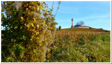 LA BALADE BOUQUINE-marne