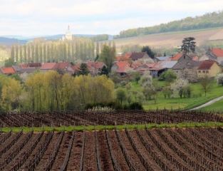 LE BOIS DE DORMANS-marne