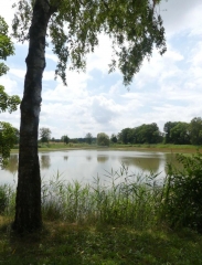 LES ETANGS D IGNY-COMBLIZY-marne