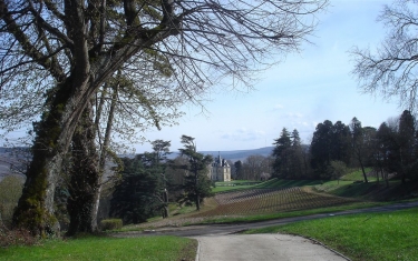 ENTRE MARNE ET CHAMPAGNE-marne