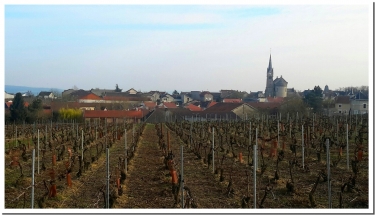 LE FORT DE BRIMONT-marne