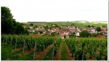 ETOGES ET LA MONTAGNE DE TOULON-marne