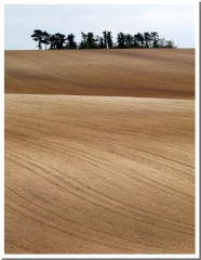 LE MONT DE MERLAN-marne