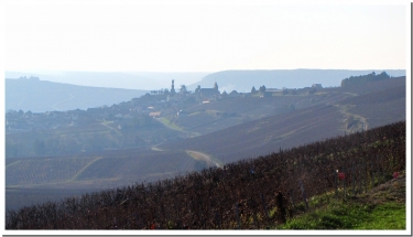 LE VIGNOBLE DU CHATILLONNAIS-marne