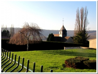 LE VIGNOBLE DU CHATILLONNAIS-marne