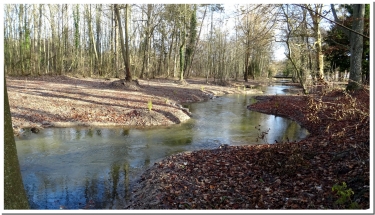 LE PARC DE LA CERISAIE-marne