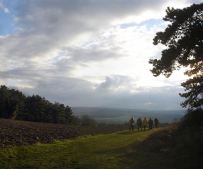 LE GRAND HAMEAU-marne