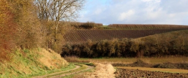 SAVIGNY-SUR-ARDRES - LE MOULIN DE LA VALLEE-marne