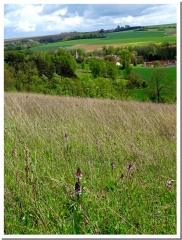 LA MONTAGNE DE GUYENCOURT ET LE CHATEAU DE VAUX-VARENNES-marne